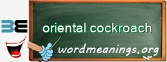 WordMeaning blackboard for oriental cockroach